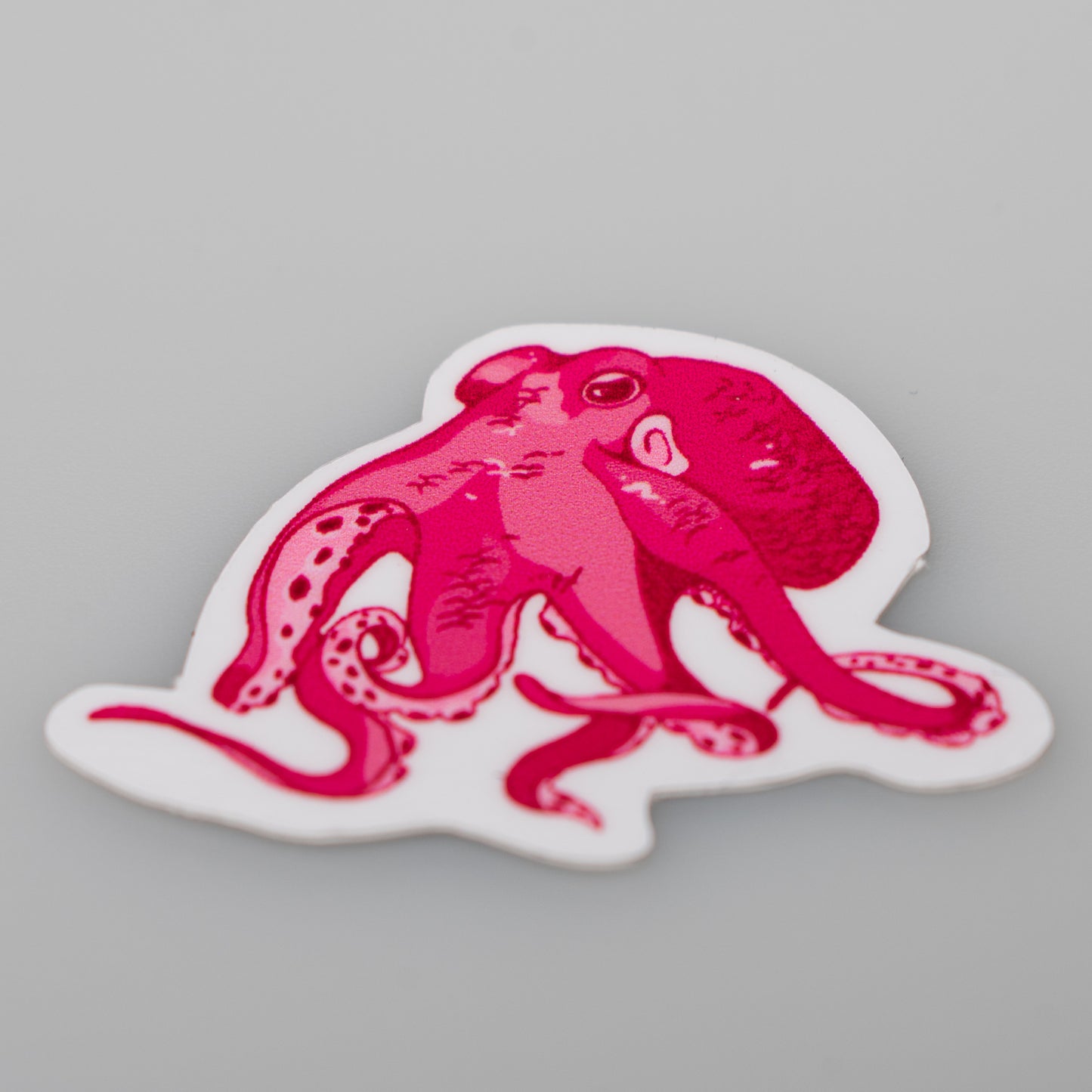 Octopus Sticker