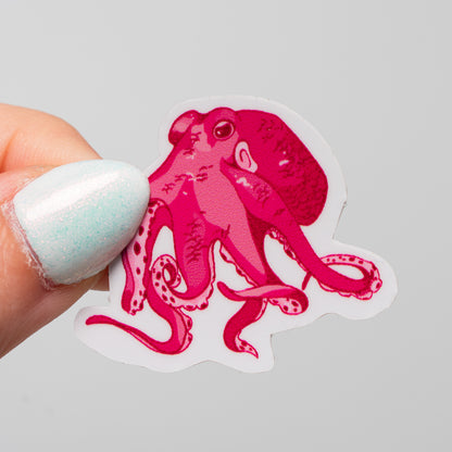 Octopus Sticker