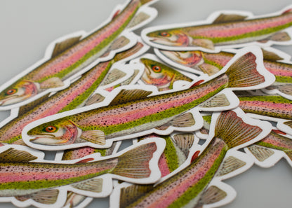 Rainbow Trout Sticker