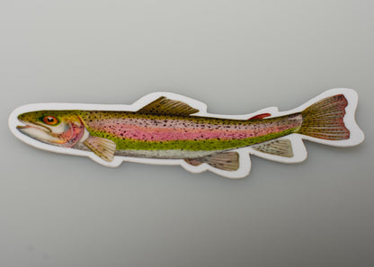 Rainbow Trout Sticker