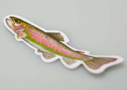 Rainbow Trout Sticker